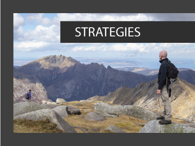 Navigation Strategies