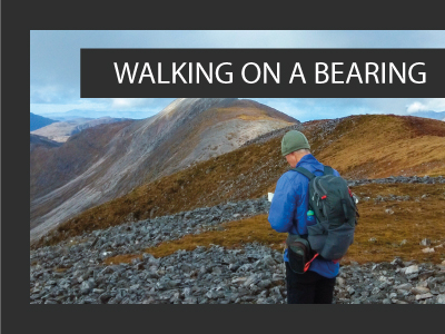 Walking Bearings