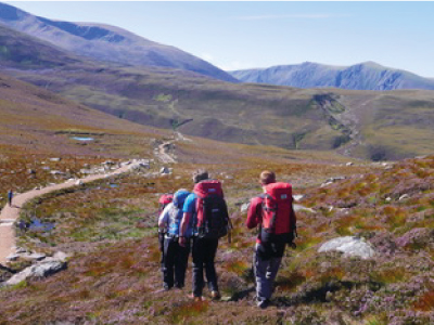 Navigation Training