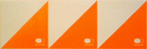Micro Marker (10 pack)