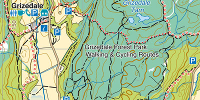 Grizedale Forest