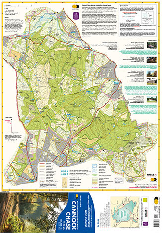 Cannock Chase - Image 2