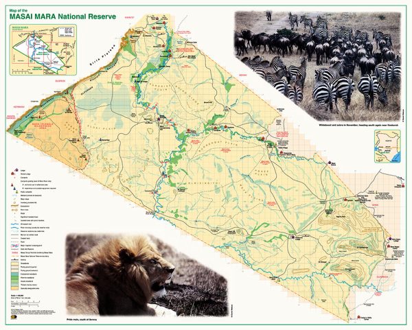 Masai Mara souvenir map poster - Image 2