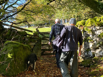 Ancient tracks on Dartmoor