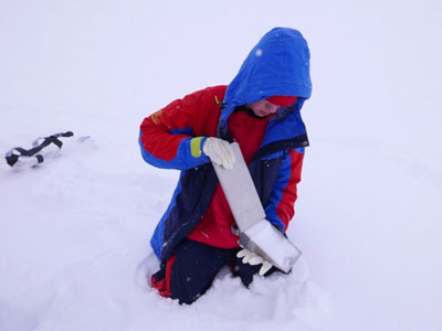 Scientific research in Arctic