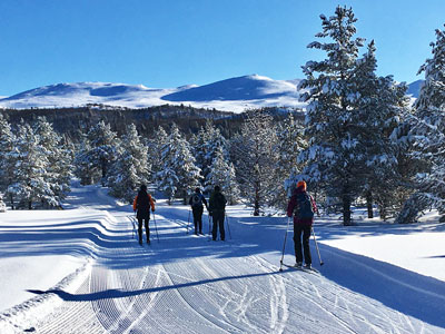 Freelance outdoor instructor