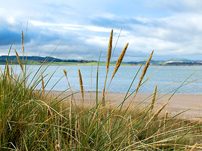 Eden Estuary